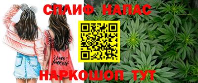 МДПВ Нальчик