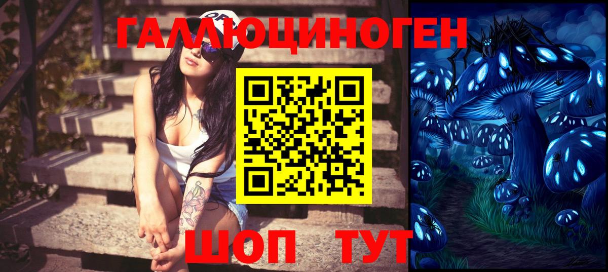 Холмск  Псилоцибиновые грибы прущие грибы  Вход с VPN 